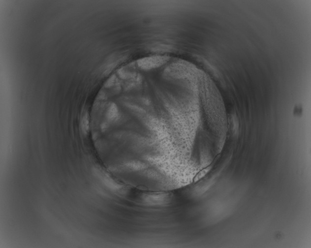 X0000092210479200710051141