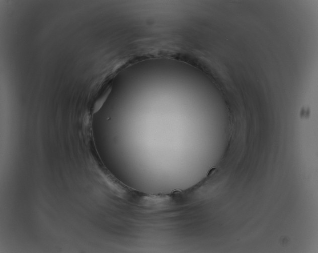 X0000092210480200710051141