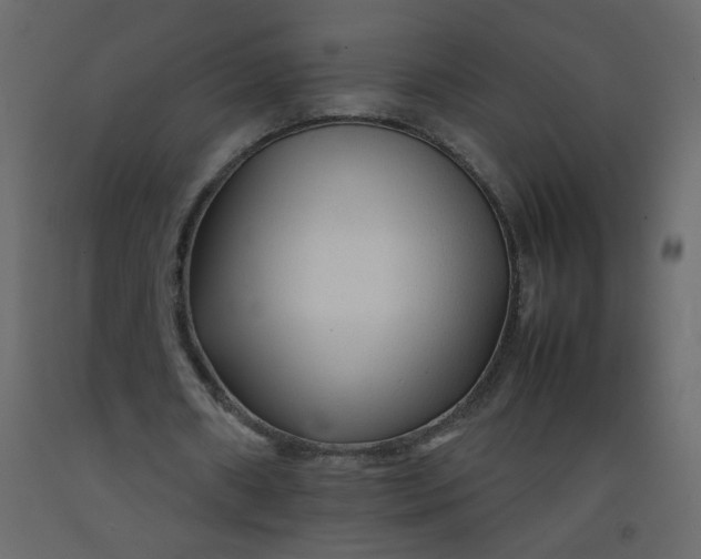 X0000092210482200710051140