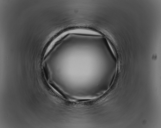 X0000092210483200710051140