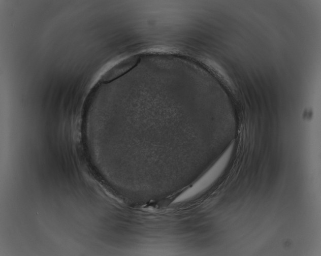 X0000092210484200710051140