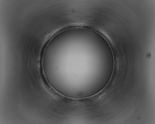 X0000092210486200710051140