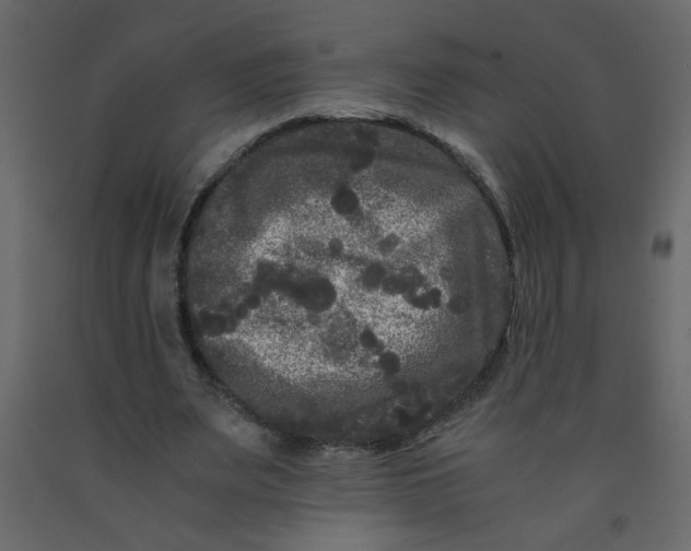 X0000092210487200710051140