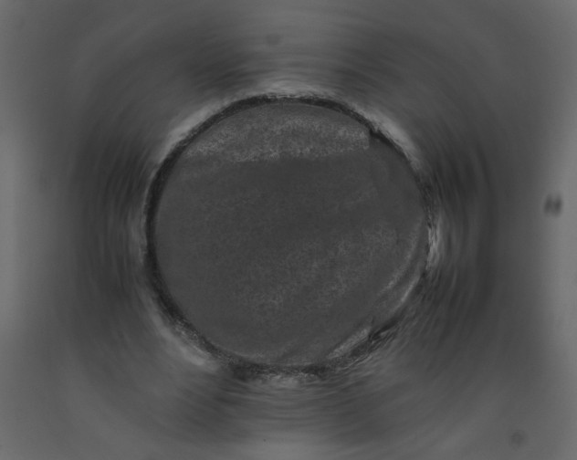 X0000092210488200710051140