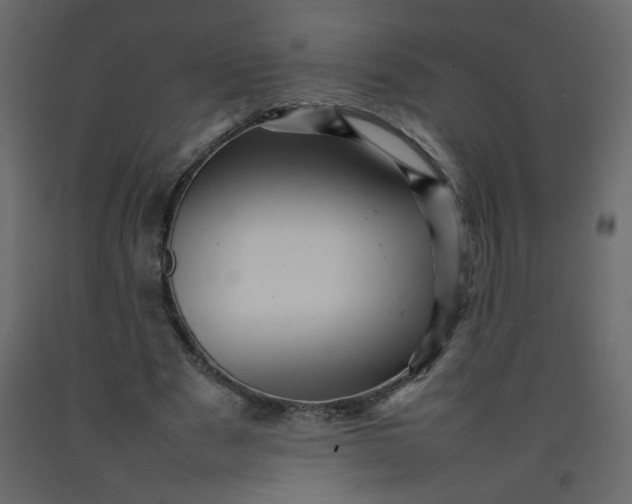 X0000092210489200710051140