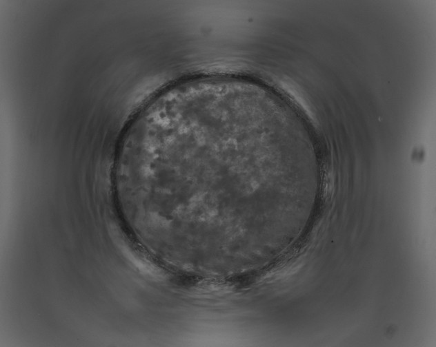 X0000092210491200710051140