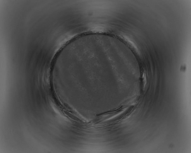 X0000092210492200710051140