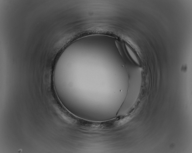 X0000092210493200710051140