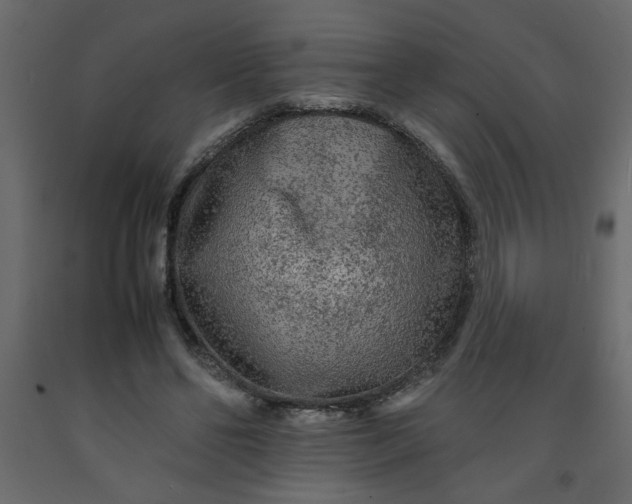 X0000092210494200710051140