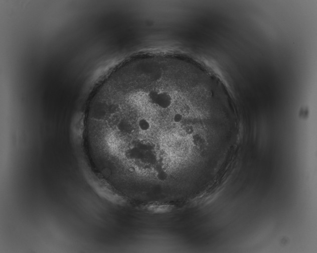 X0000092210495200710051140