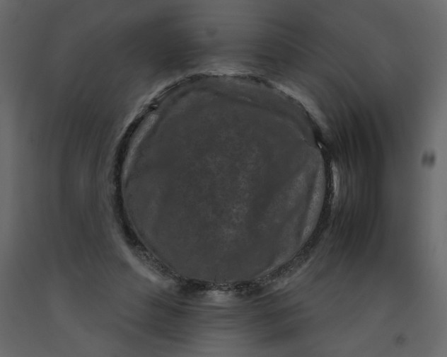 X0000092210496200710051140