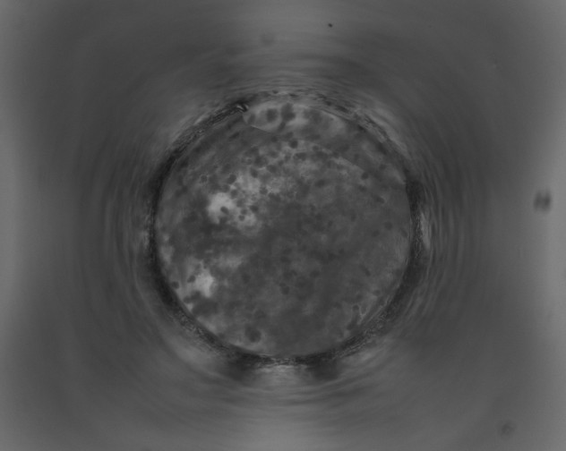 X0000092210499200710051140