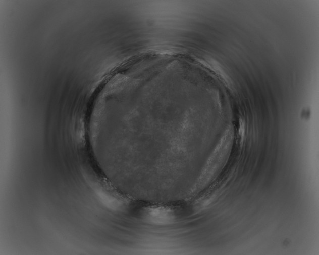 X0000092210500200710051140