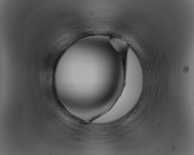 X0000092210501200710051140