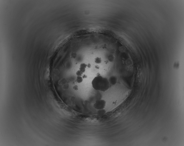 X0000092210502200710051140