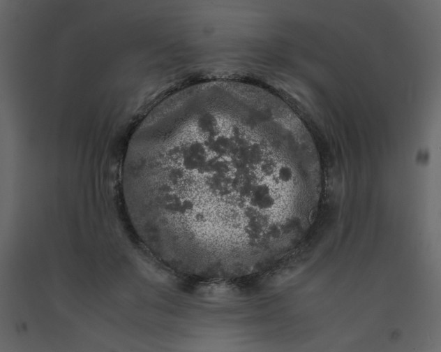 X0000092210503200710051140