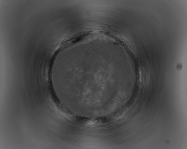 X0000092210504200710051140