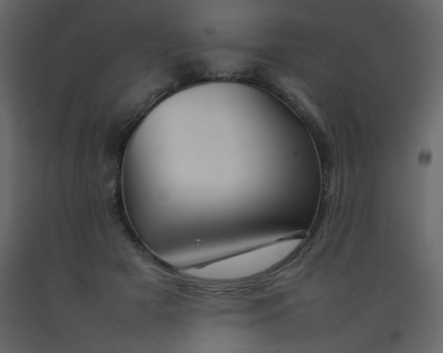 X0000092210505200710051140