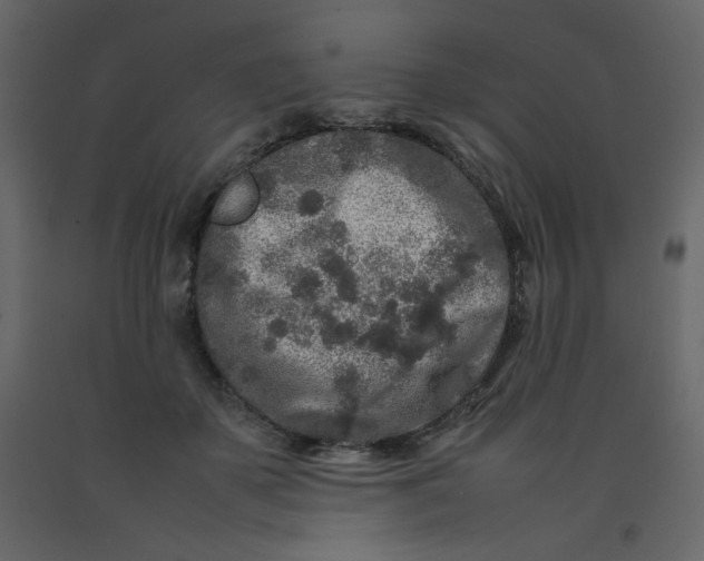 X0000092210507200710051140