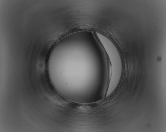 X0000092210508200710051140