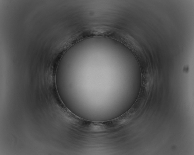 X0000092210510200710051140