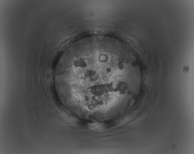 X0000092210511200710051140