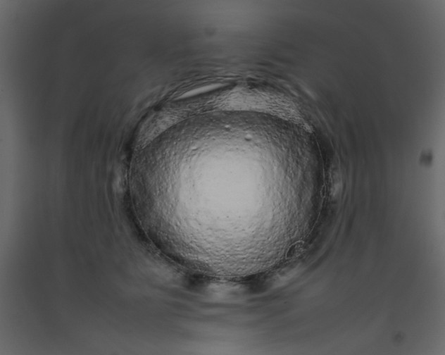 X0000092210515200710051140