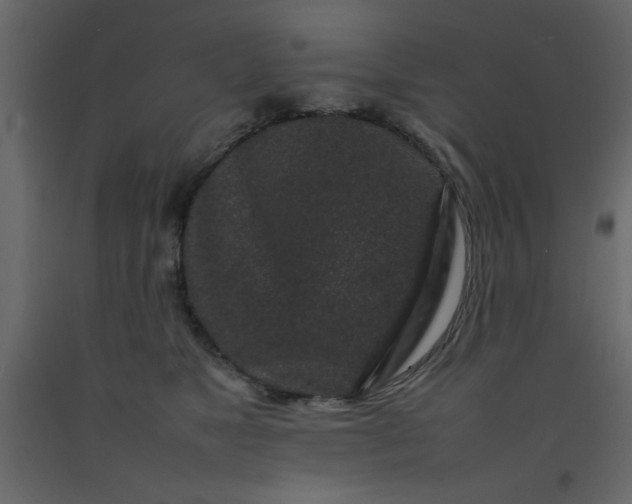 X0000092210517200710051140