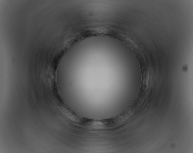 X0000092210518200710051140