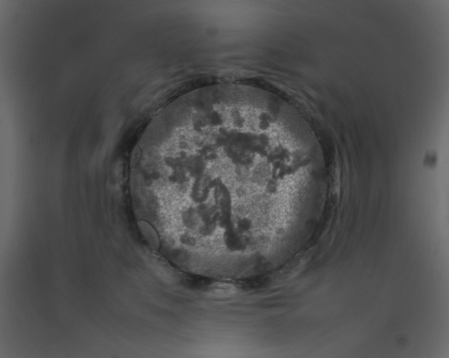 X0000092210519200710051140