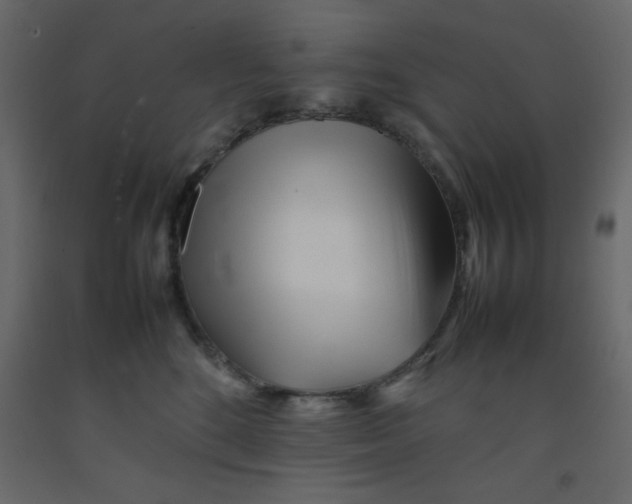 X0000092210520200710051140