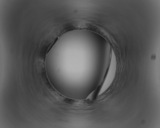 X0000092210521200710051140