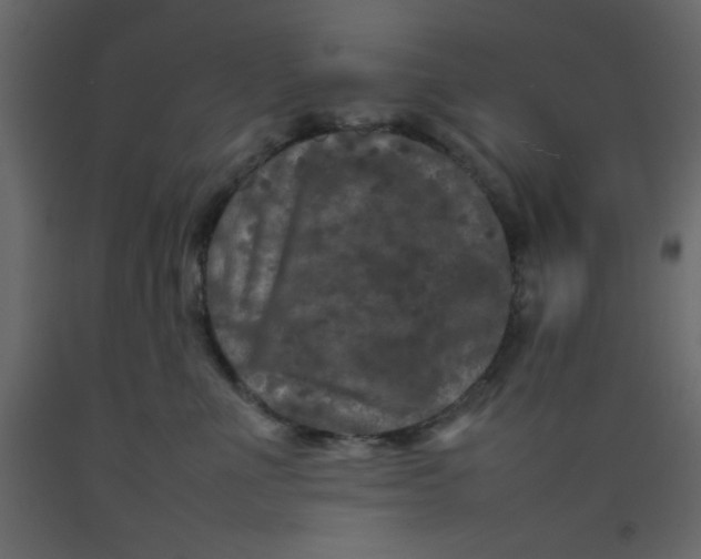 X0000092210523200710051139