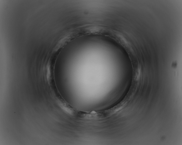 X0000092210524200710051139