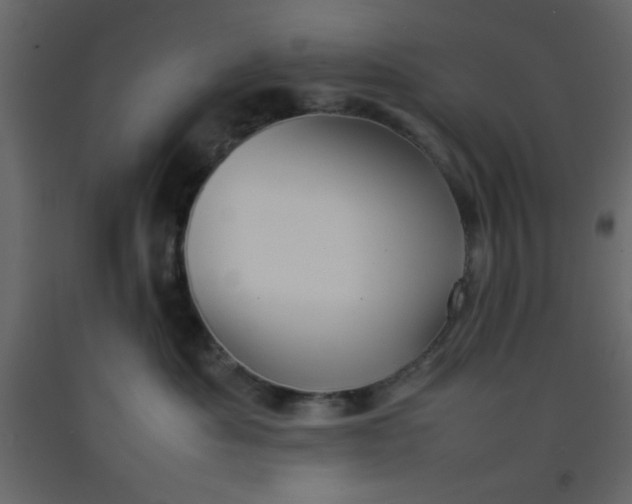 X0000092210525200710051139