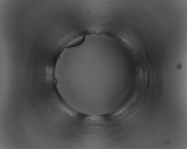 X0000092210526200710051139