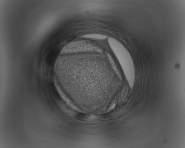 X0000092210527200710051139