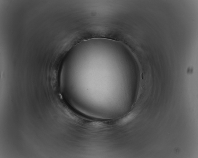 X0000092210528200710051139