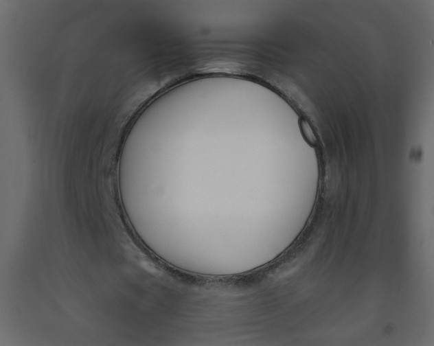 X0000092210529200710051139