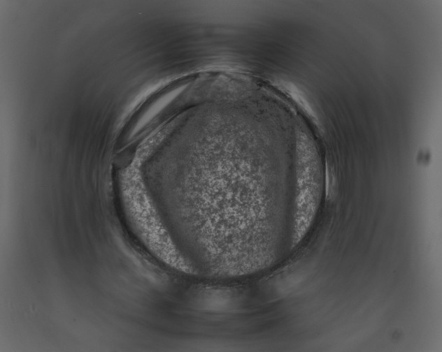 X0000092210531200710051139