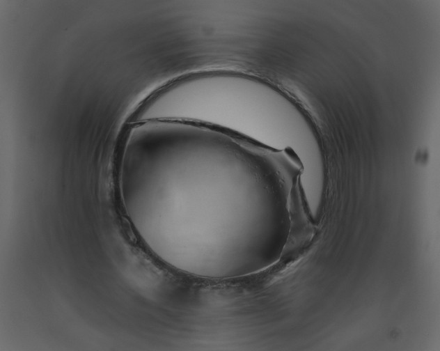 X0000092210532200710051139