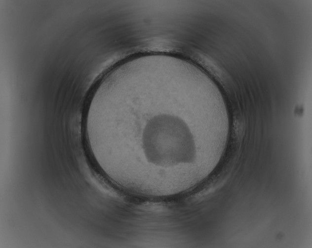 X0000092210534200710051139