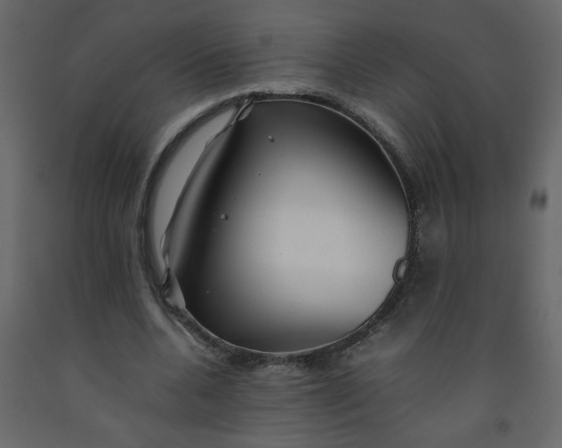 X0000092210536200710051139