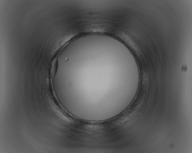 X0000092210537200710051139