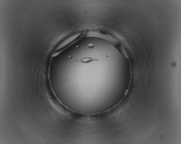 X0000092210538200710051139