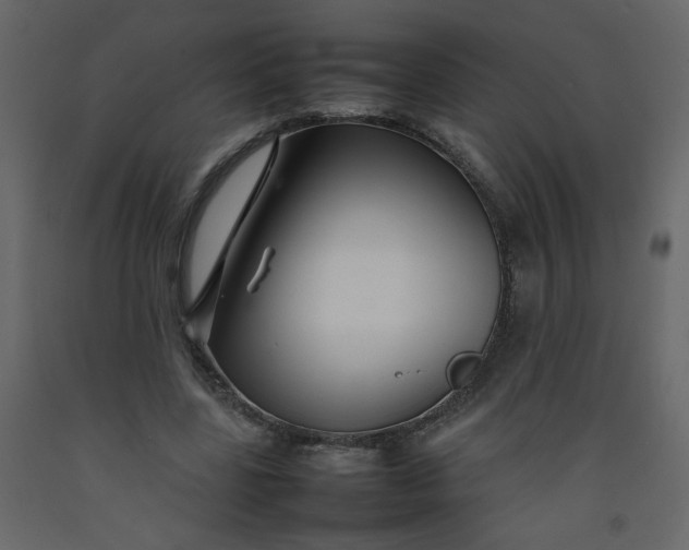 X0000092210539200710051139