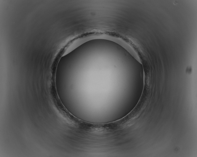 X0000092210540200710051139