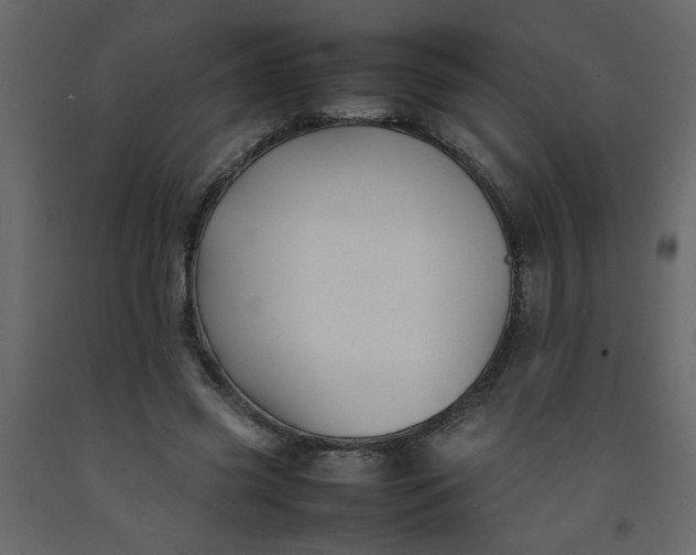 X0000092210541200710051139