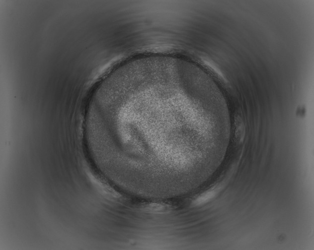 X0000092210542200710051139