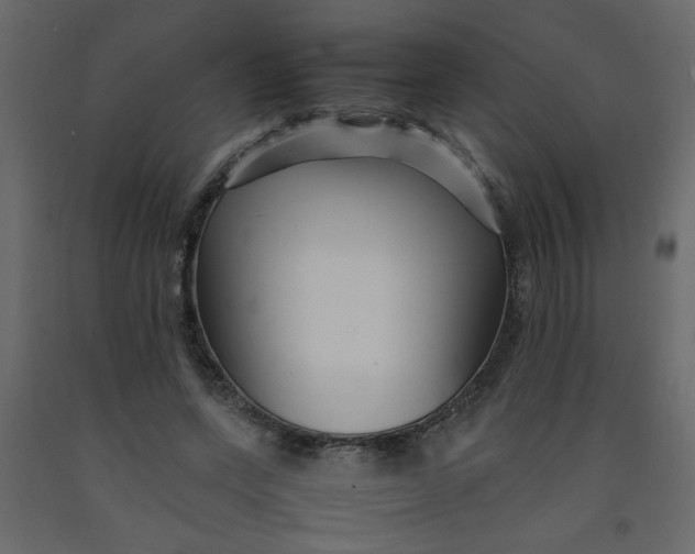 X0000092210543200710051139